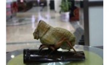 紹興市觀賞石協(xié)會(huì)雲(yún)林會(huì)館全景圖