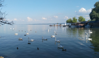 行業(yè)網(wǎng)站建設(shè)、北京網(wǎng)絡(luò)公司　旅游網(wǎng)站建設(shè)