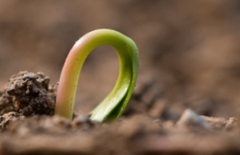 微信小程序、包裝制作小程序