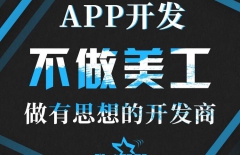 APP混合開發(fā)、原生APP開發(fā)、app