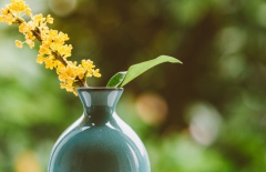 北京網(wǎng)站建設(shè)、北京網(wǎng)站建設(shè)公司、北京網(wǎng)絡(luò)公司