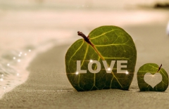 北京做網(wǎng)站公司、高端網(wǎng)站建設(shè)、高端品牌網(wǎng)站建設(shè)、北京網(wǎng)絡(luò)公司