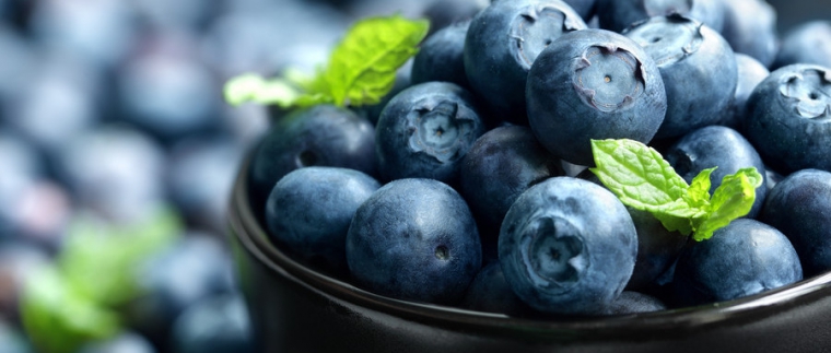 北京網(wǎng)站建設(shè)、北京網(wǎng)站建設(shè)公司、北京網(wǎng)站制作公司、北京專業(yè)網(wǎng)站建設(shè)公司、星誠視野、北京專業(yè)網(wǎng)站建設(shè)、北京網(wǎng)站建設(shè)公司、北京星誠視野網(wǎng)絡(luò)科技有限公司