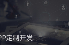 app開(kāi)發(fā)、原生APP開(kāi)發(fā)、app定制開(kāi)發(fā)、APP開(kāi)發(fā)公司 