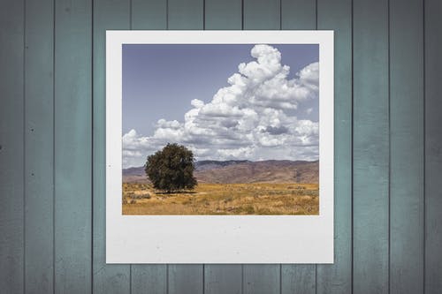 北京做網(wǎng)站、高端品牌網(wǎng)站建設(shè)、北京網(wǎng)頁設(shè)計公司、北京高端網(wǎng)站建設(shè)、教育類網(wǎng)站建設(shè)