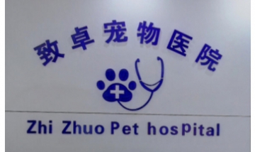 致卓寵物醫(yī)院全景圖