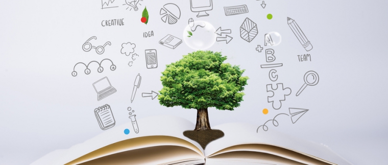 北京網站建設、北京星誠視野網絡科技有限公司、網站建設哪家公司好