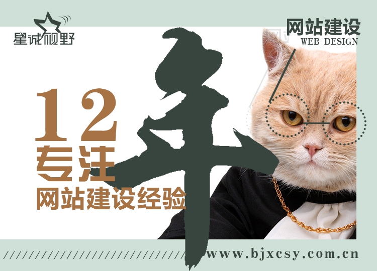 公司的網(wǎng)站制作、響應(yīng)式網(wǎng)站制作、專業(yè)的網(wǎng)站制作公司、北京網(wǎng)站制作