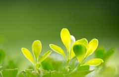 北京網(wǎng)站建設(shè)、北京網(wǎng)站建設(shè)公司、北京網(wǎng)站制作公司、北京網(wǎng)站制作、北京做網(wǎng)站