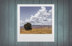 北京做網(wǎng)站、高端品牌網(wǎng)站建設(shè)、北京網(wǎng)頁設(shè)計公司、北京高端網(wǎng)站建設(shè)、教育類網(wǎng)站建設(shè)