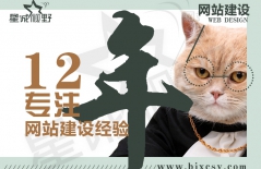 北京網(wǎng)站制作公司、北京做網(wǎng)站、營(yíng)銷型網(wǎng)站建設(shè)、北京網(wǎng)絡(luò)公司