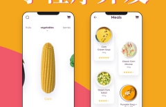 微信小程序開發(fā)，小程序開發(fā)，微信小程序，小程序商城